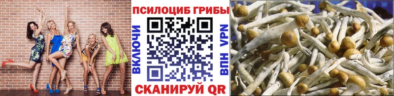 Купить закладки  Петропавловск-Камчатский  Псилоцибиновые грибы мицелий